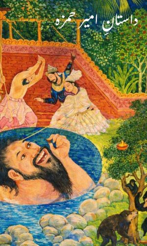 Graphical representation of a famous Urdu classical fable "Dastan Amir Hamza" narrated by many classical Urdu writers